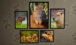 Скриншот игры scr8