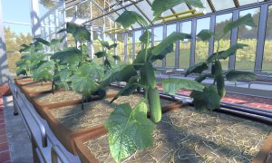 Скриншот игры scr6