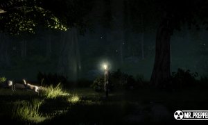 Скриншот игры scr8