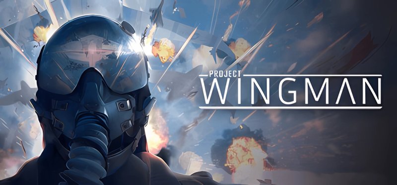 Project Wingman v2.1.1a