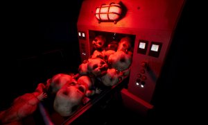 Скриншот игры scr6