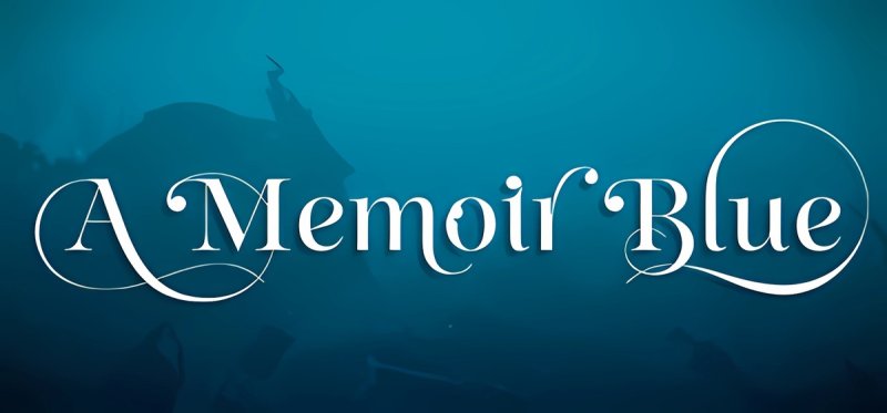 A Memoir Blue Build 8901003