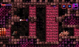 Скриншот игры scr2