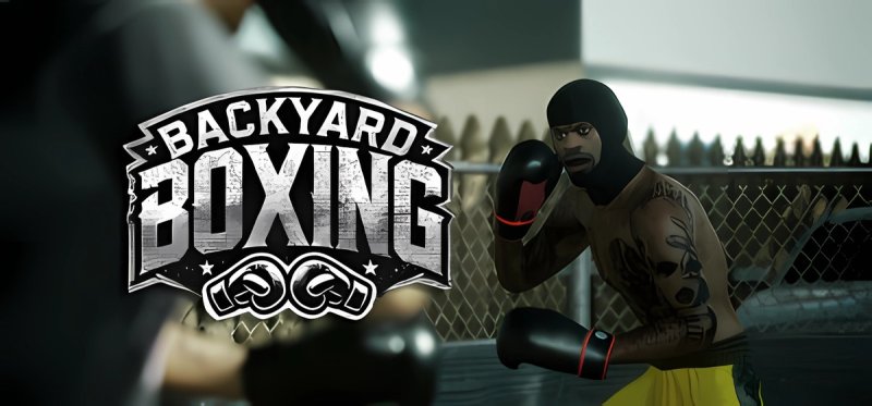 Backyard Boxing Build 17232568