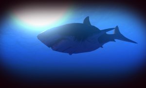 Скриншот игры scr4