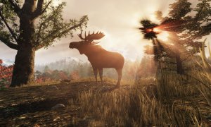 Скриншот игры scr6