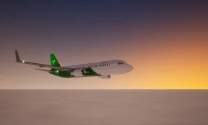 Скриншот игры scr8