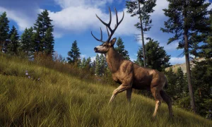 Скриншот игры scr8