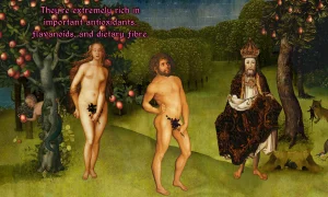 Скриншот игры scr2